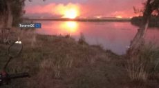 Лес не пострадал: в ГСЧС рассказали, что горело на Печенежском водохранилище