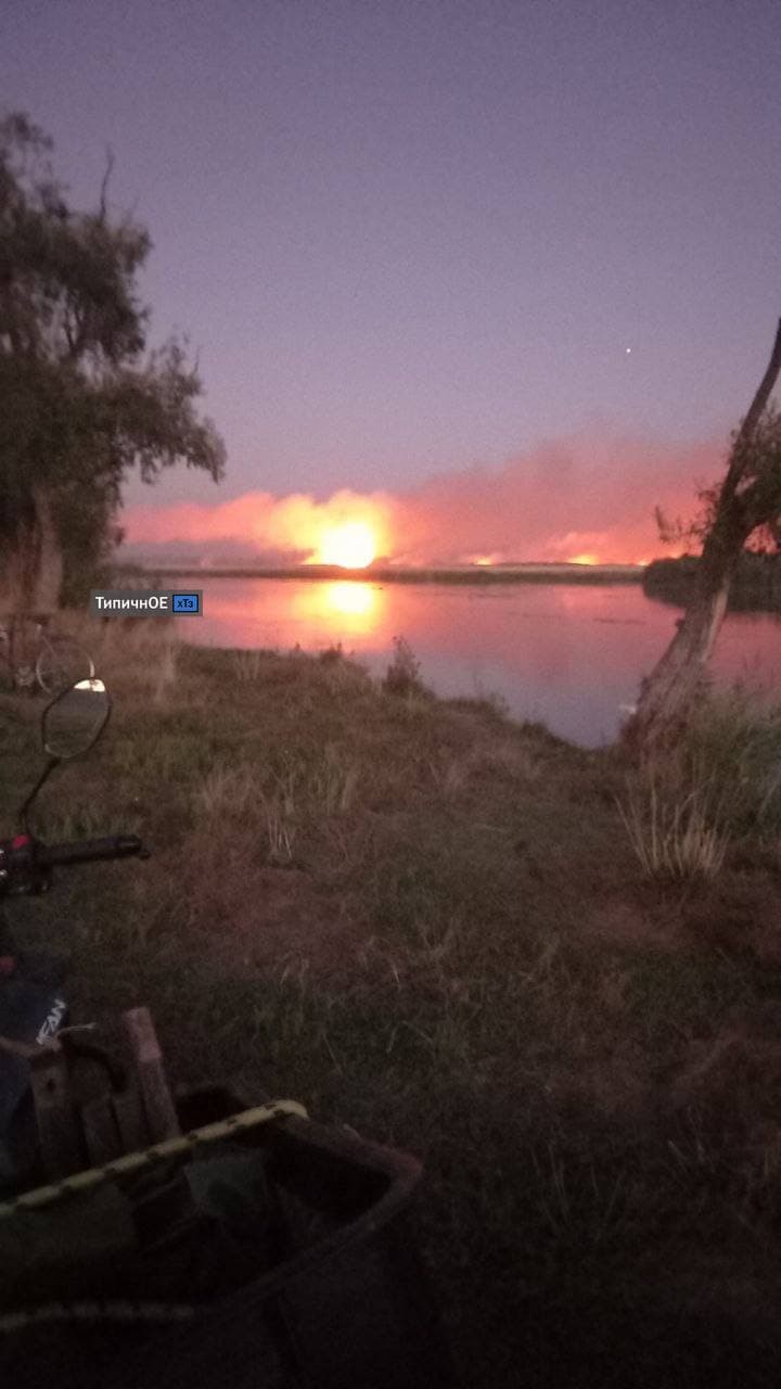 Лес не пострадал: в ГСЧС рассказали, что горело на Печенежском водохранилище