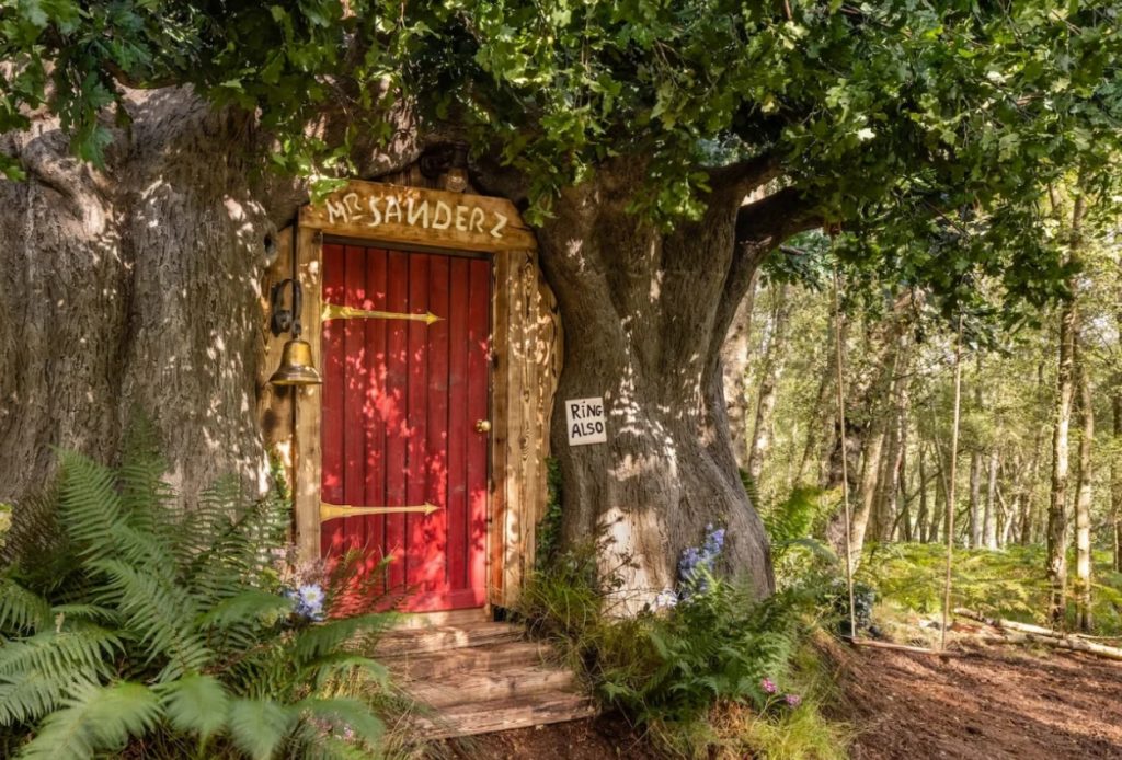 В Великобритании появился настоящий домик Винни-Пуха (фото)