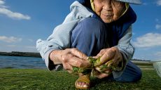 В Японии пересчитали долгожителей: больше 86 тысяч человек старше ста лет