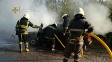 В Харьковской области во время движения загорелся автомобиль (фото)