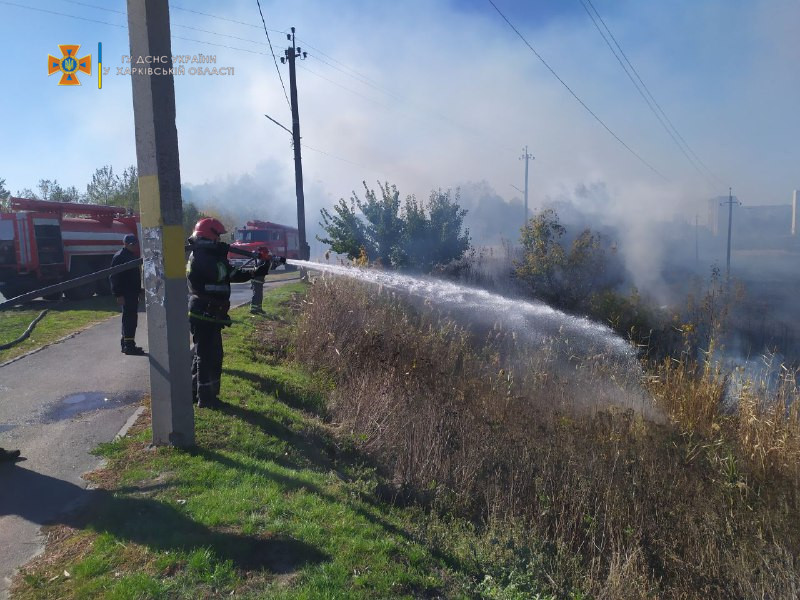 Масштабный пожар на Харьковщине - фото 2