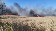 На Харьковщине из-за камыша едва не сгорели жилые дома (видео, фото)