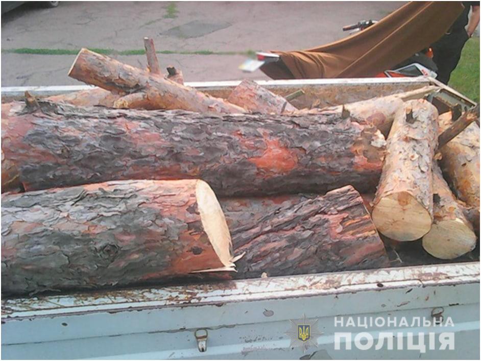 В Харькове поймали очередного «черного лесоруба» (фото)