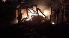 Домовладелец на Харьковщине спасся от огня, но повредил плечо, бедро и нос