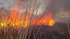 Спасатели потушили пожар на фермерском поле