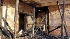 На Харьковщине на пожаре пострадал домовладелец