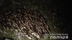 Браконьер на Харьковщине нанес ущерб в полмиллиона гривен (фото)