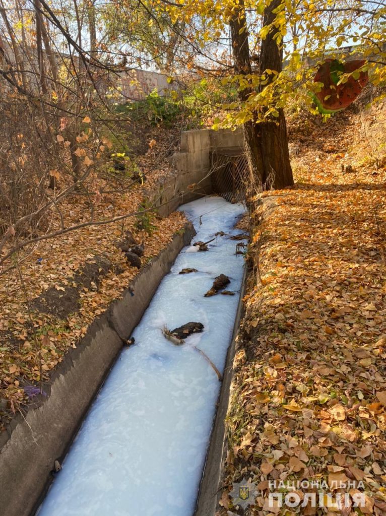 В Харькове в реке обнаружен сброс неизвестного вещества (фото)
