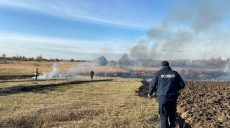 Житель Харьковщины едва не поджег местность вокруг своего села (фото)