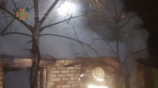 В Харьковской области спасатели более двух часов тушили сарай (фото)
