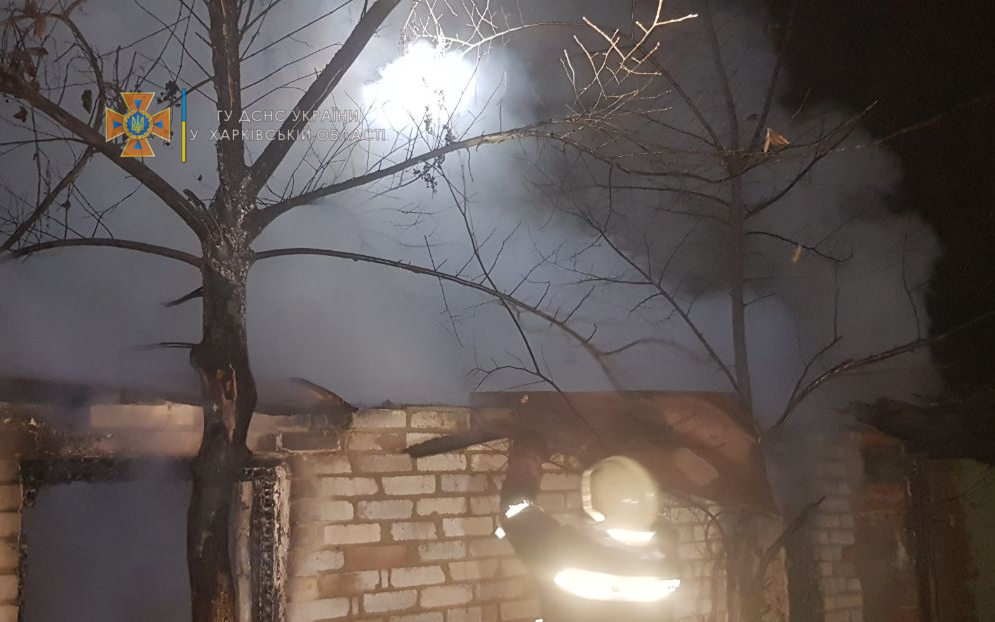 В Харьковской области спасатели более двух часов тушили сарай (фото)