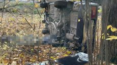 Смертельное ДТП в Харьковской области: автомобиль вылетел в кювет и перевернулся (фото)