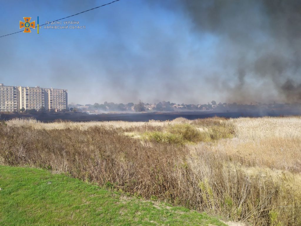 На Харьковщине ликвидирован крупный пожар (видео)