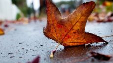 У Харкові суттєво потеплішає: погода на 21 жовтня