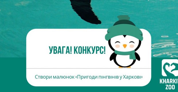 «Приключения пингвинов в Харькове». Зоопарк объявил конкурс рисунков