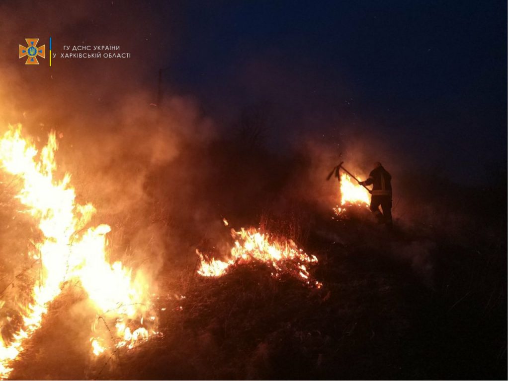 На Харьковщине спасатели ликвидировали пожар вдоль трассы (фото)