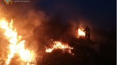 На Харьковщине спасатели ликвидировали пожар вдоль трассы (фото)