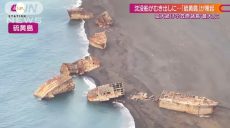 Землетрясение в Японии подняло со дна океана корабли Второй мировой (видео)