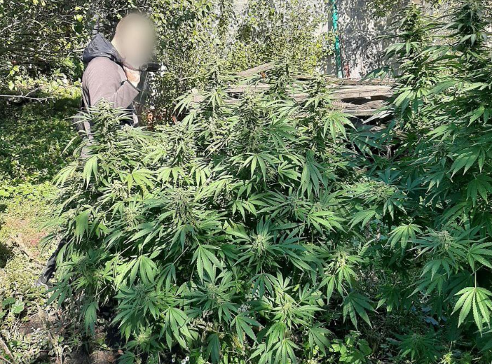 У харьковчанина изъяли наркотиков на более 220 тыс грн (фото)
