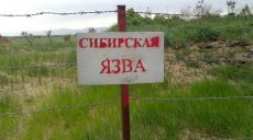 В Украине зафиксирован случай заболевания сибирской язвой