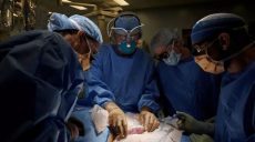 Американские хирурги сделали уникальную операцию по пересадке органов от свиньи человеку