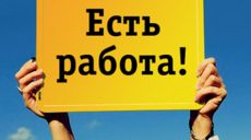 В Украине стремительно растет количество вакансий