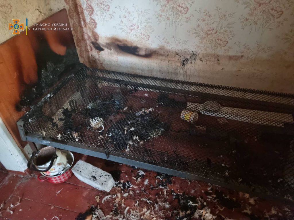 Под Харьковом в сгоревшем доме обнаружили тело женщины (фото)