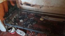 Под Харьковом в сгоревшем доме обнаружили тело женщины (фото)