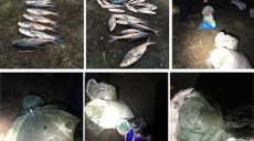 Браконьер на Харьковщине выловил сетями более 50 толстолобов весом в 260 кг (фото)