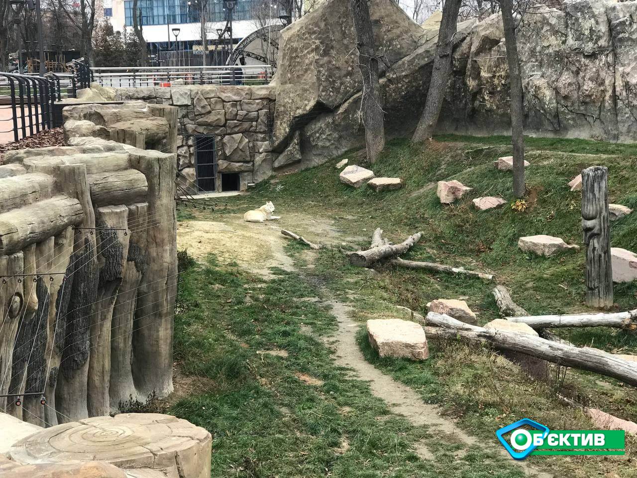 Как работаем Харьковский зоопарк через 100 дней после открытия 