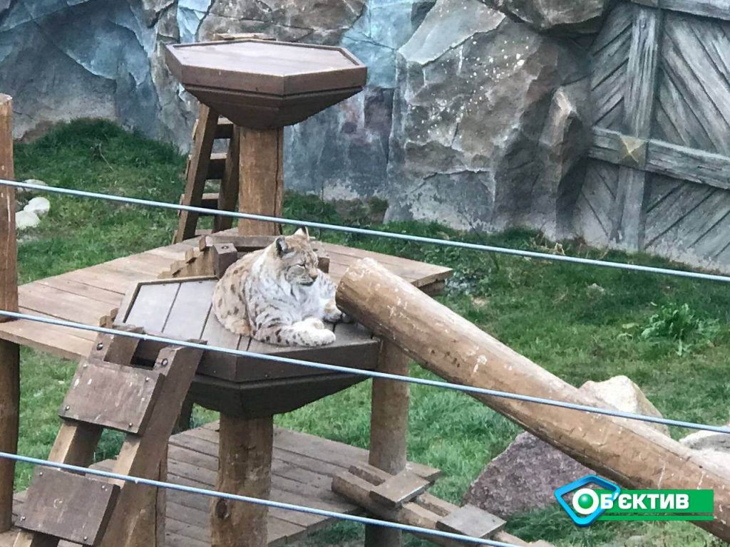 Харьковский зоопарк — 100 дней после открытия (фото, видео)