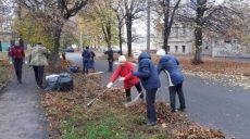 В Харькове начали осеннюю уборку территории