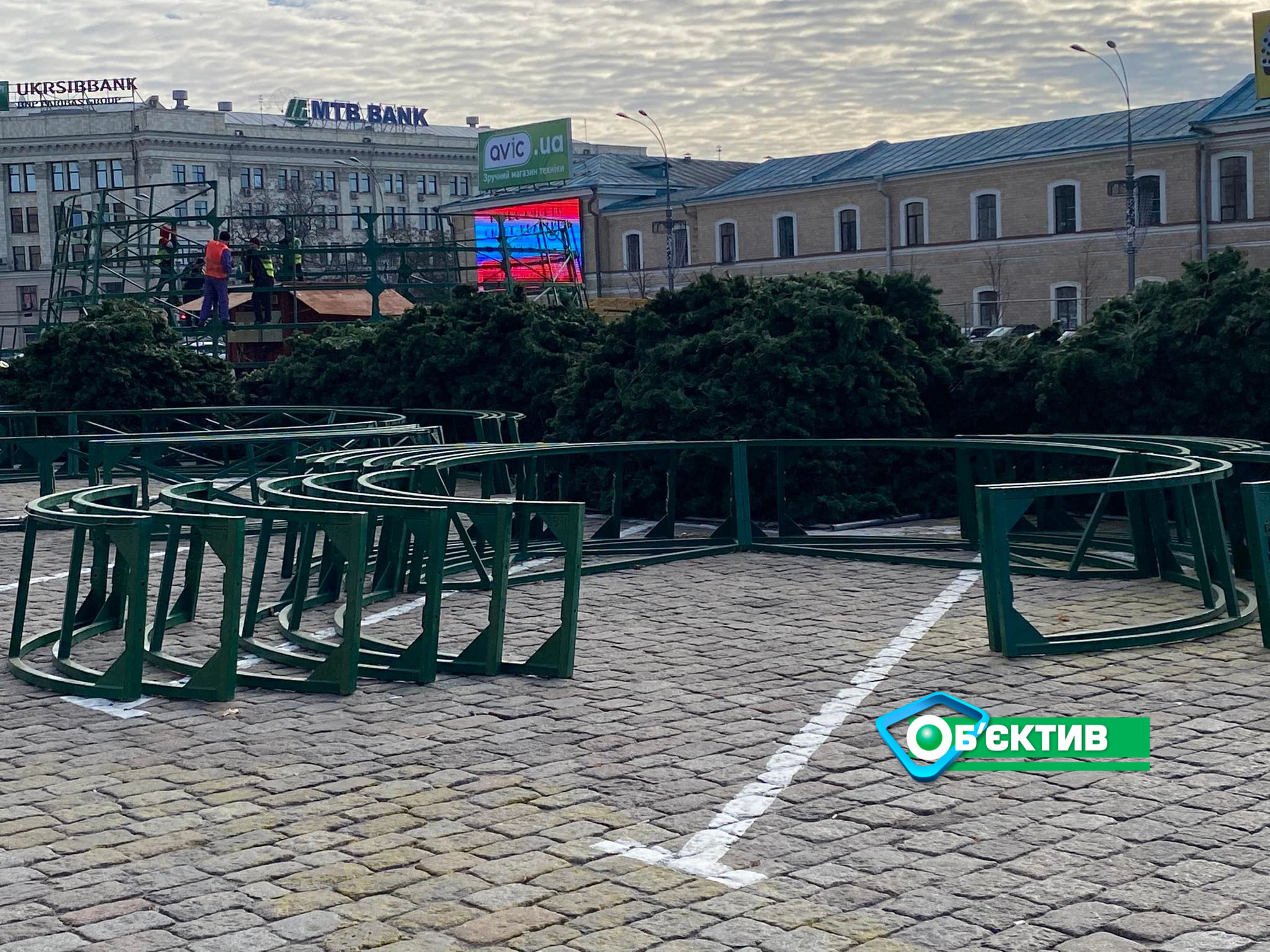 В Харькове начали устанавливать главную городскую елку (фоторепортаж, видео)