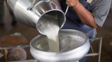 На Харьковщине прекращено незаконное производство молочной продукции