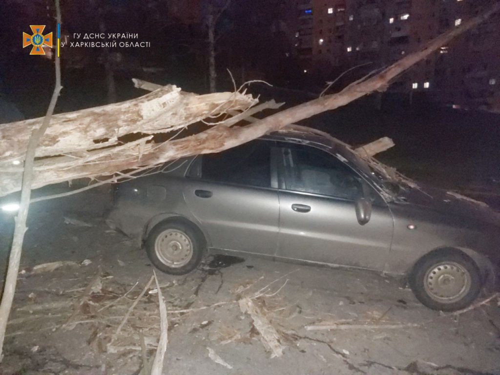 Циклон Бенедикт. 35 деревьев и более 50 крупных веток упали в Харькове