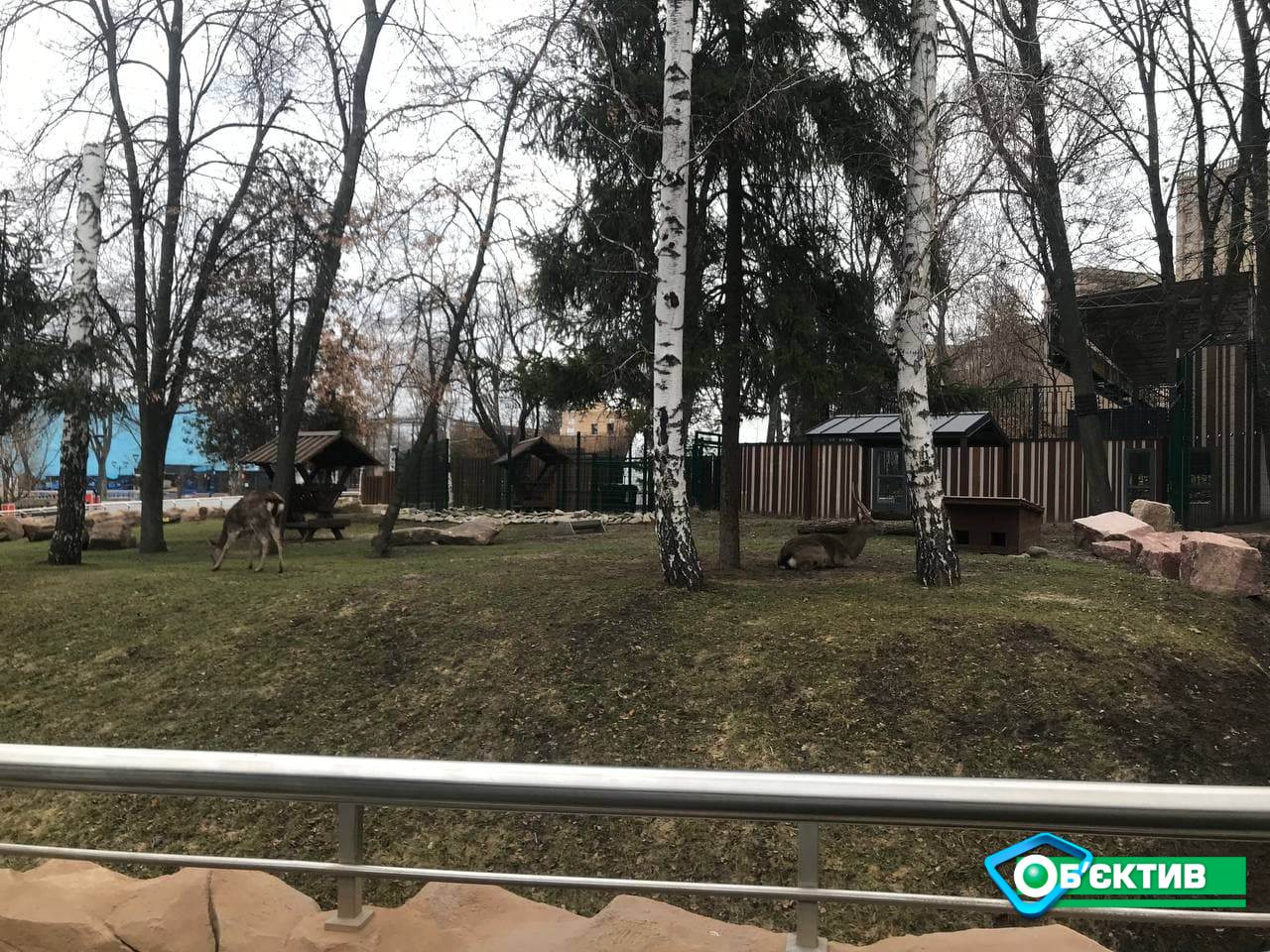 Животные в Харьковском зоопарке адаптируются к новым условиям