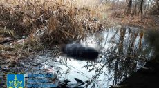 Тело в карьере. Полиция устанавливает личность убитого