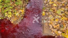 В лесопарке — прорыв канализации, красно-бурого цвета стоки попадают в Комсомольское озеро (фото)