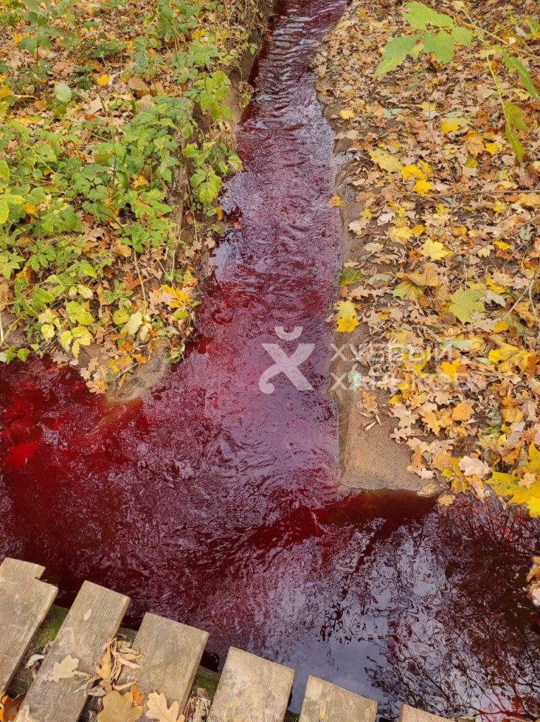 В лесопарке — прорыв канализации, красно-бурого цвета стоки попадают в Комсомольское озеро (фото)