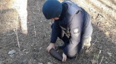 В Харьковской области вблизи жилых домов нашли боеприпас (фото)