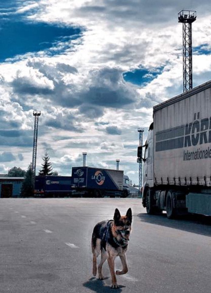 Служебный пес Харьковской таможни Любомир повысил квалификацию (фото)