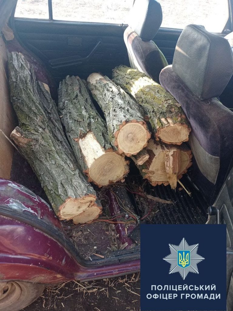На Харьковщине поймали нелегальных лесорубов (фото)