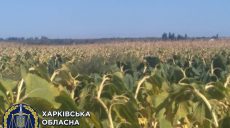 На Харьковщине фермера обвинили в самовольном занятии земли