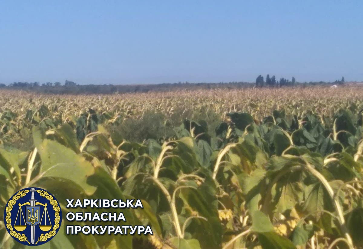 На Харьковщине фермера обвинили в самовольном занятии земли