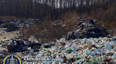 Под Харьковом разместили свалку в лесу (фото)
