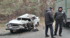 Под Харьковом столкнулись ЗИЛ и «Жигули»: есть пострадавшие (фото)