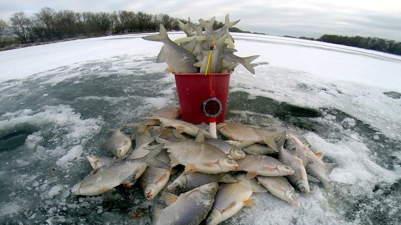 На Харьковщине начал действовать запрет на рыбалку в зимовальных ямах (карта)