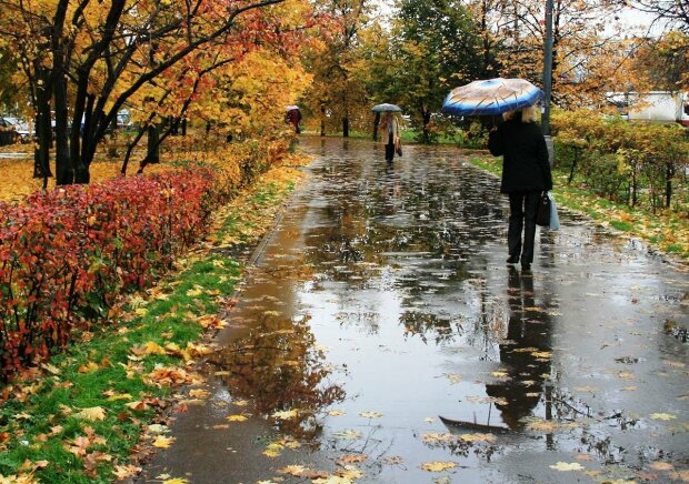 Выходные в Харькове будут теплыми, но дождливыми — синоптики