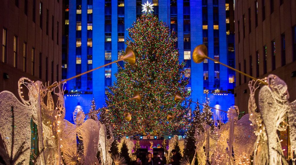 Новый год уже скоро: в Нью-Йорк из Мэриленда доставили главную елку страны (видео)